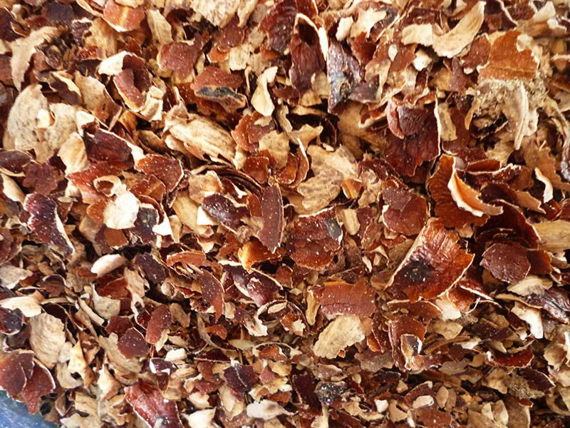 Cashew Husk Suppliers & Importers in India