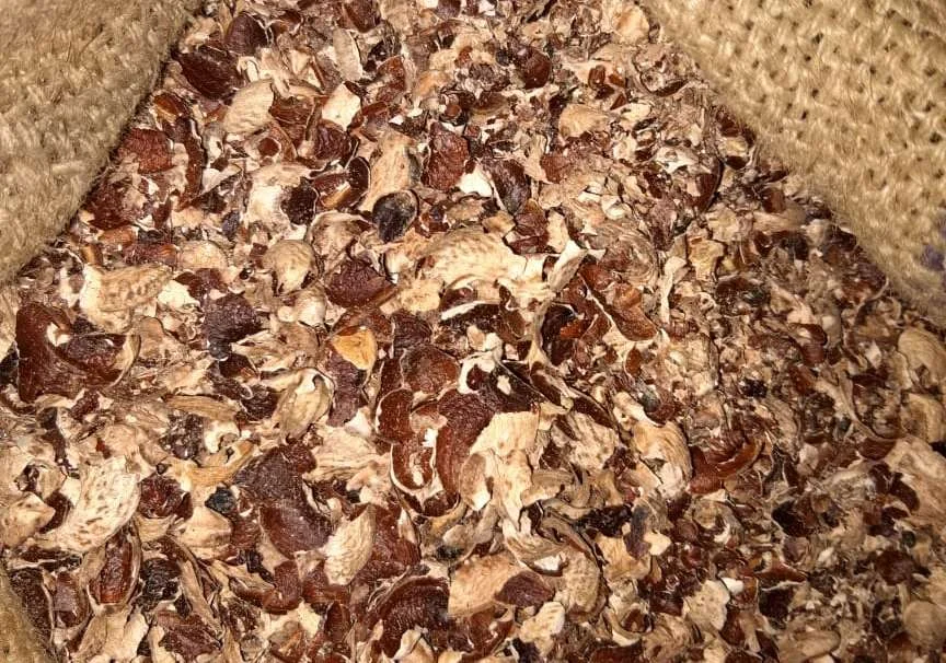 All You Need To Know About Cashew Husk