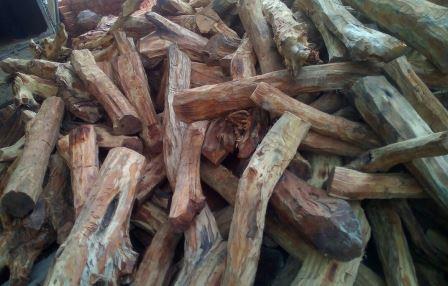 Khair Wood