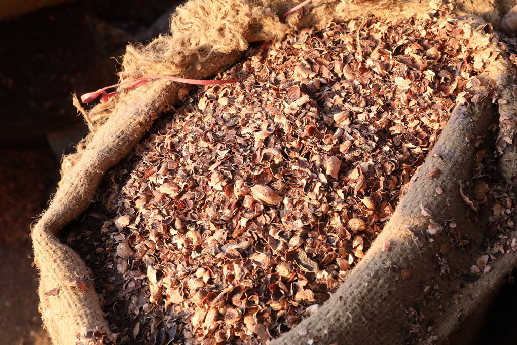 Indian Cashew Husk